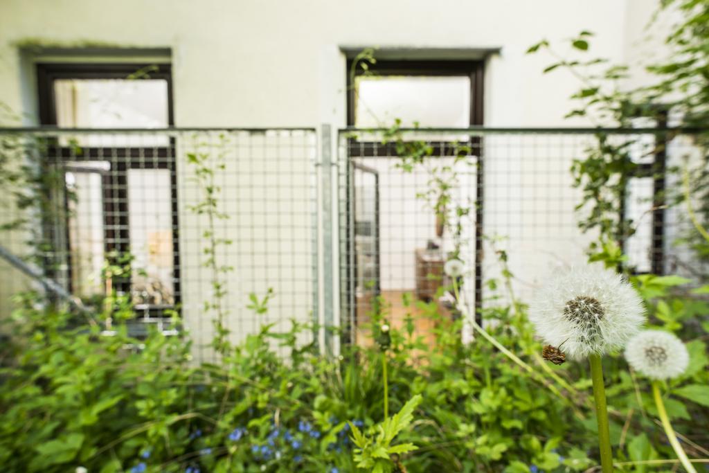Chillout Lounge Satzberg Apartment Vienna Exterior photo